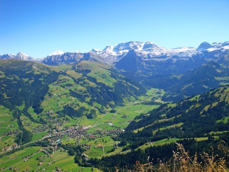 Wildbach Villa in Lenk