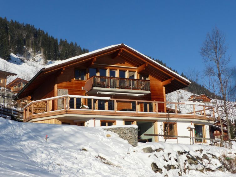 Strubelblick EG Villa in Lenk