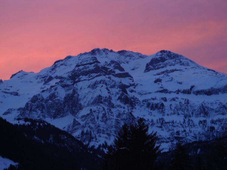 Photo of Strubelblick EG