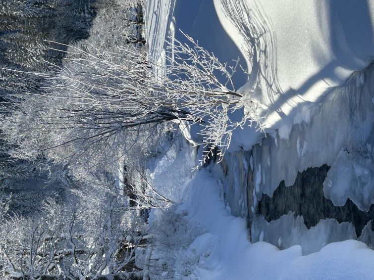 Photo of Chalet Claudia
