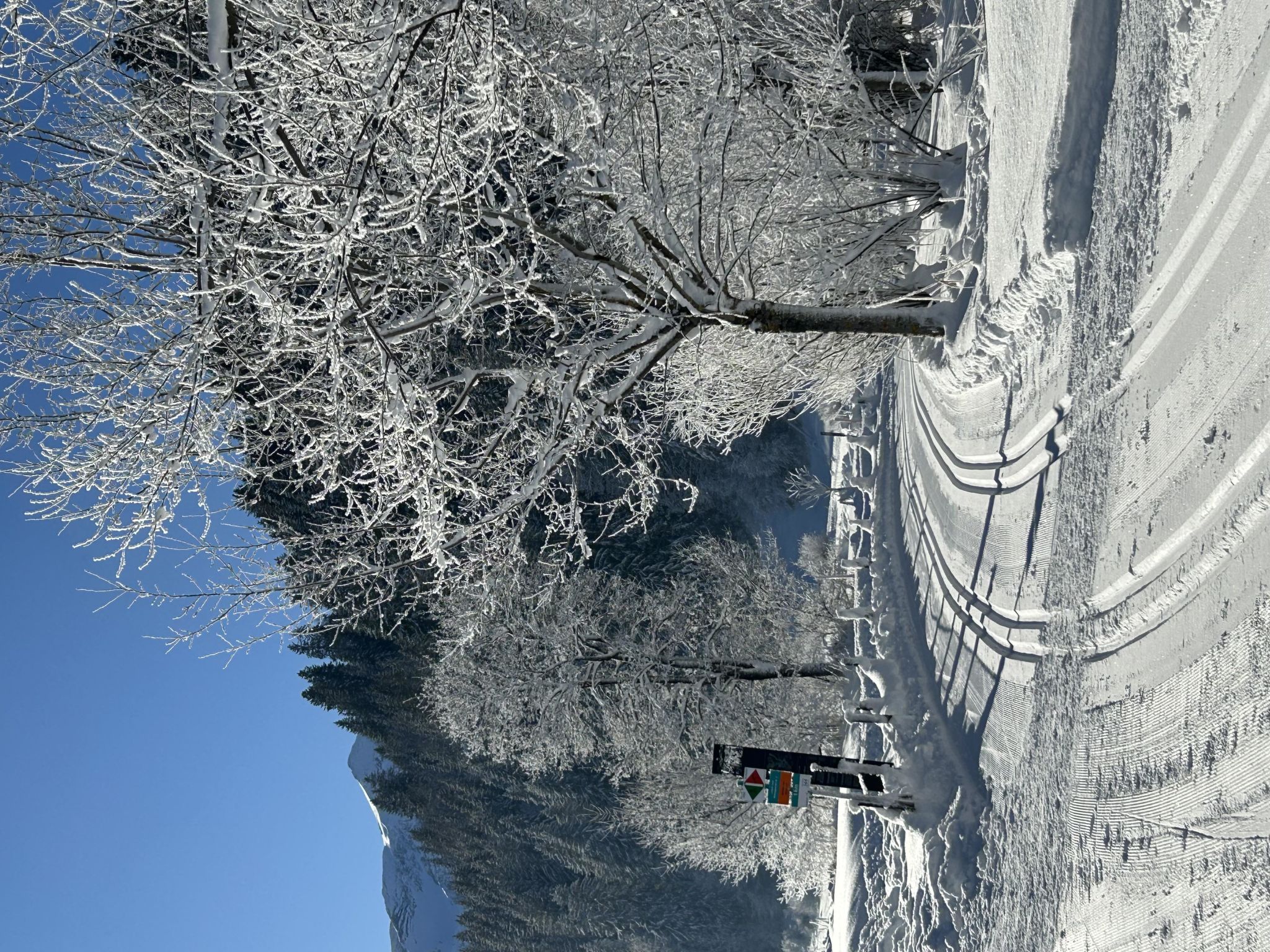Photo of Chalet Claudia