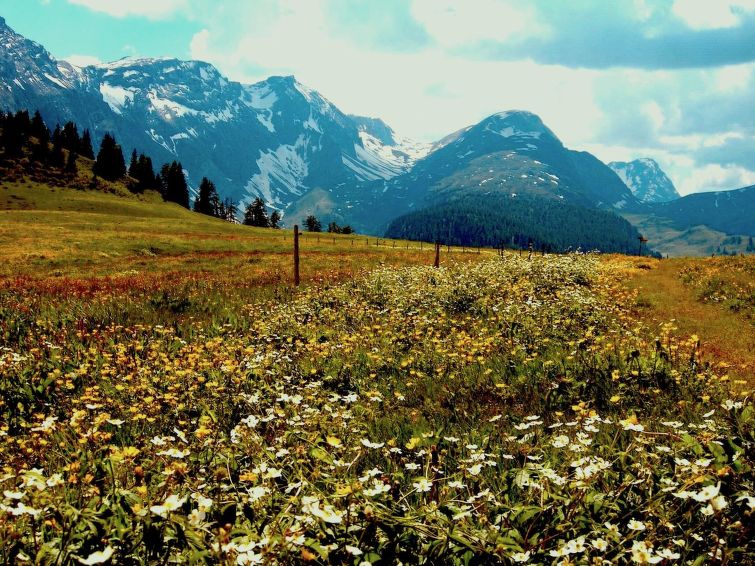 Photo of Chalet Weitblick