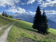 Ferienwohnung Chalet Weitblick