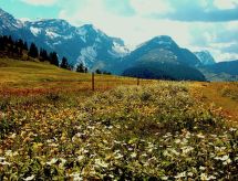 Ferienwohnung Chalet Weitblick