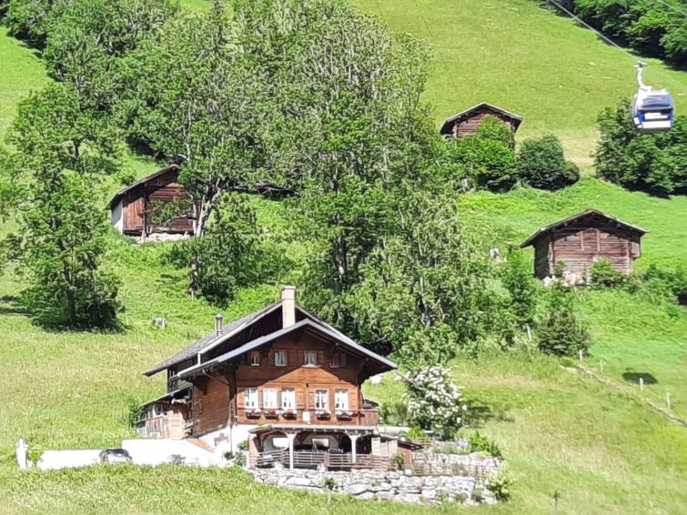 Kari's Schüür Apartment in Lenk