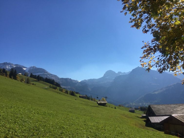 Photo of Meieli