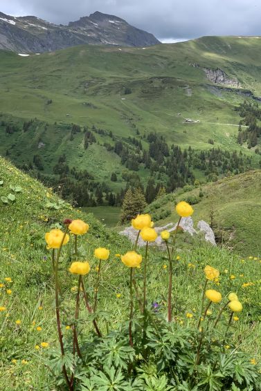 Photo of Meieli