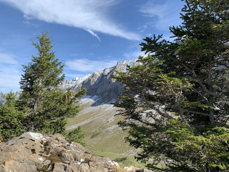 Photo of Meieli