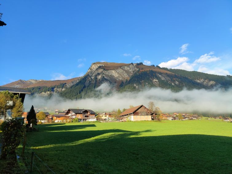 Photo of Lenk Unique