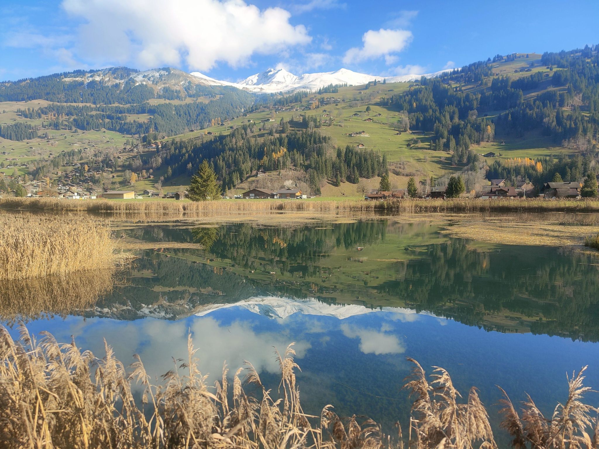 Photo of Lenk Unique
