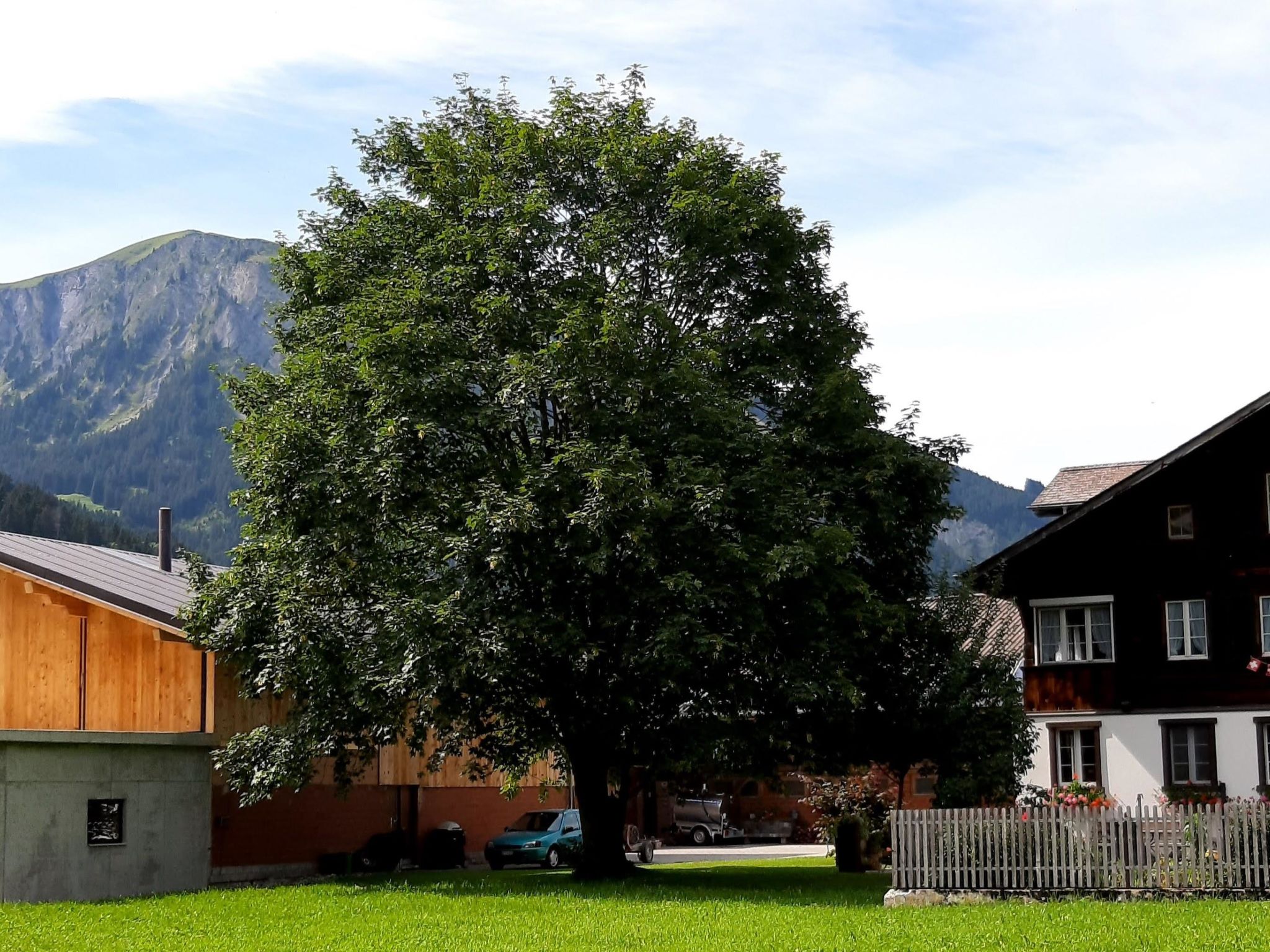 Photo of Bühlerhof Appartement/Fewo, Dusche oder Bad, WC, 3 Schlafräume 6-Bett-Wohnung