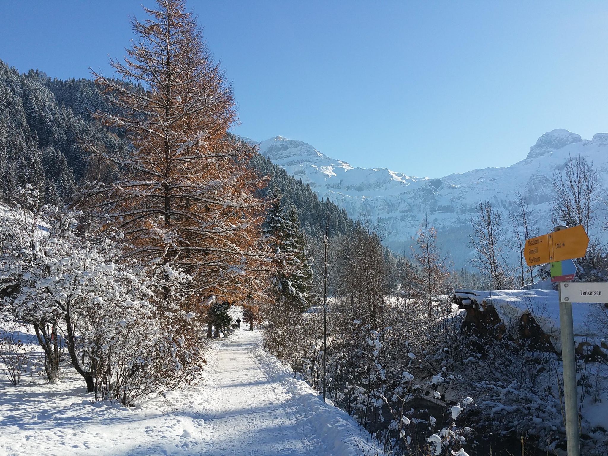 Photo of Chalet Flöschhorn Appartement/Fewo, Bad, WC, 3 Schlafräume