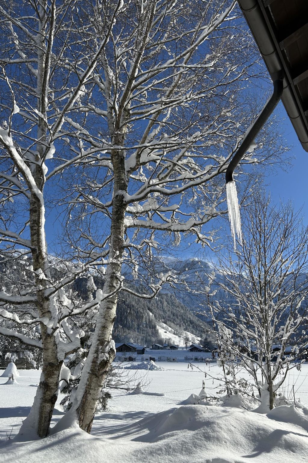 Photo of Chalet Claudia Appartement/Fewo, Dusche, 1 Schlafraum 2-Bett-Wohnung