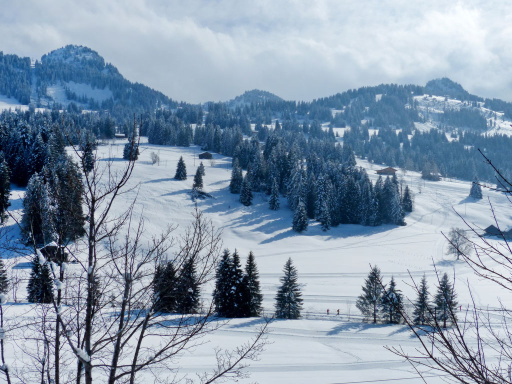 Bild 22