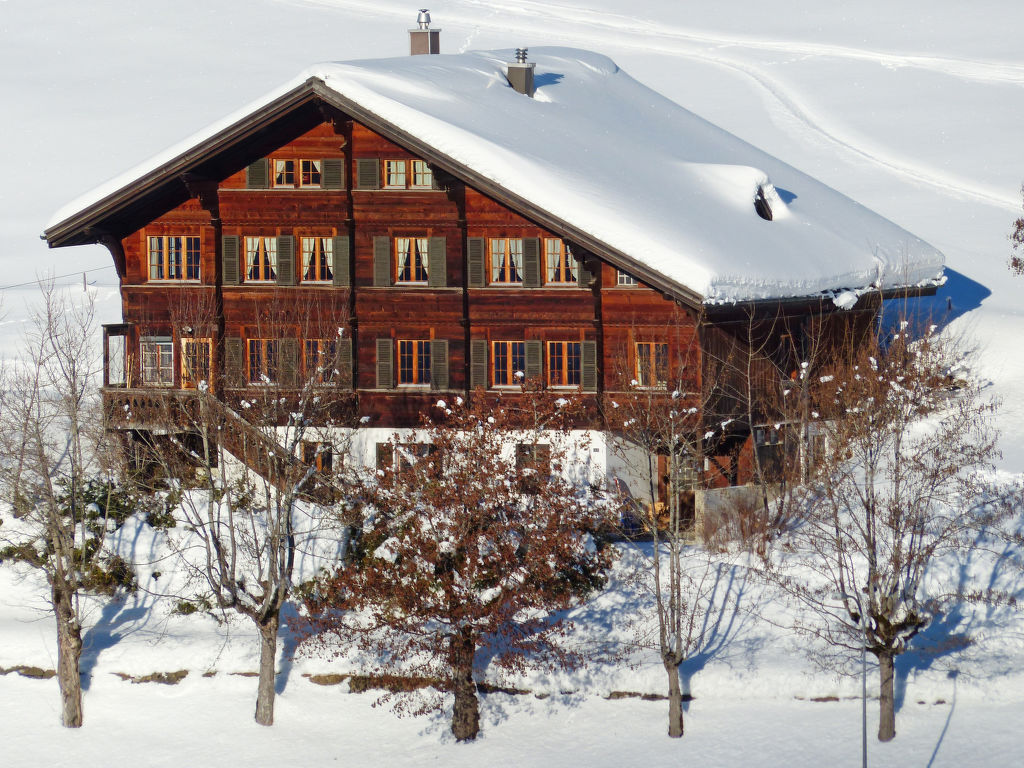 Ferienwohnung Chalet Ahorni Ferienwohnung  Berner-Oberland