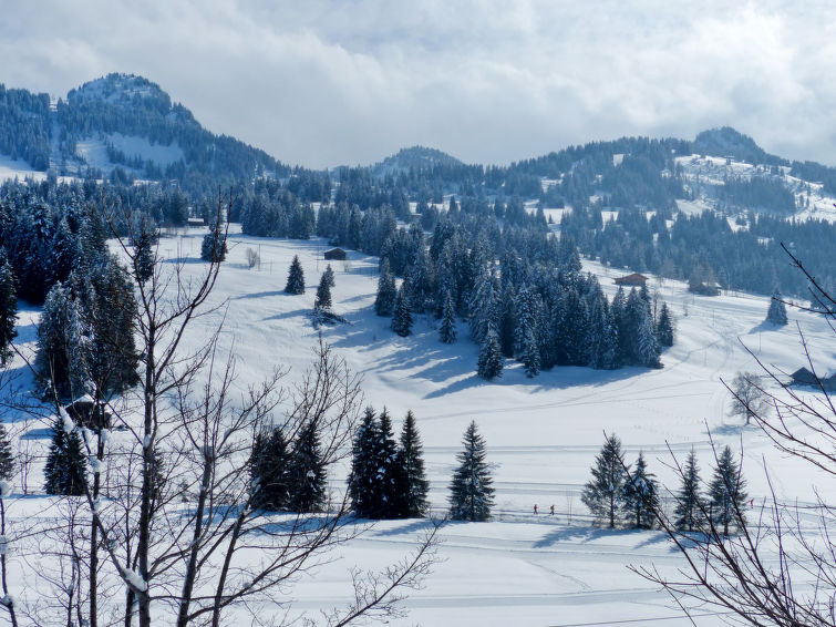 Slide3 - Chalet Ahorni