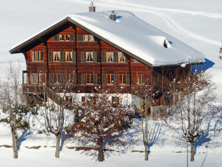 Ferienwohnung Chalet Ahorni