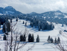 Appartement Chalet Ahorni