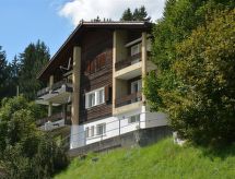 Ruim appartement in Saanenmöser voor 6 personen - thumbnail 1