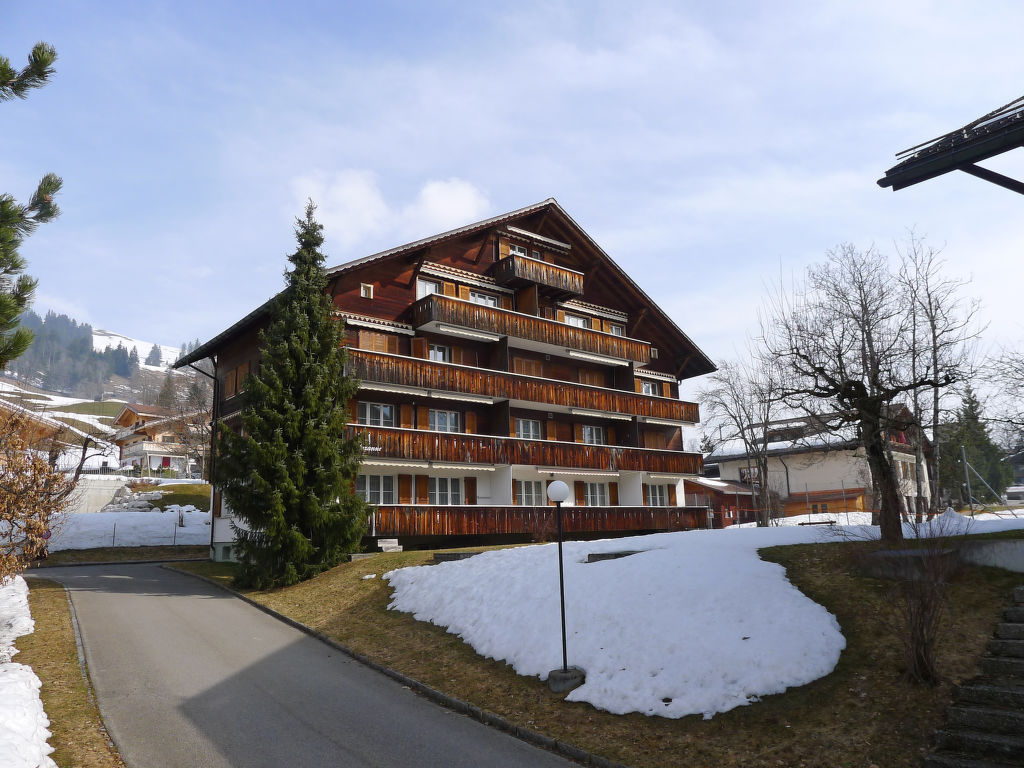 Ferienwohnung Arlette Nr. 34 Ferienwohnung  Saanenland-Gstaad