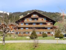 Knus appartement direct aan de piste in Schönried - thumbnail 1