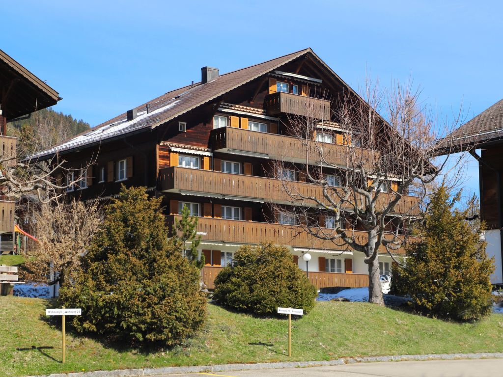 Appartement Suzanne Nr. 21 in Zwitserland