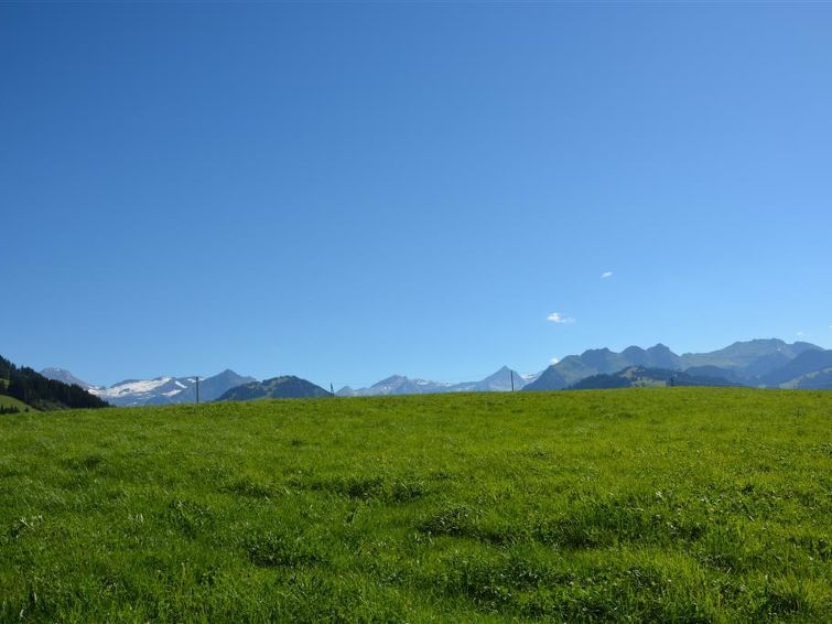 Holiday Rental Accommodation