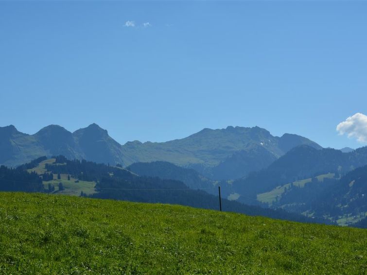 Holiday Rental Accommodation