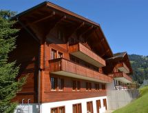 Ruim 8-persoons appartement direct aan de skipiste in Schönried - thumbnail 1