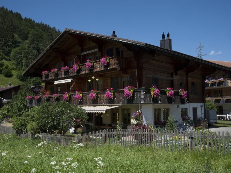 Steimandli Appartement/fewo, Dusche Oder Bad, Wc 2-bettwohnung - Gstaad