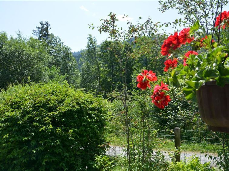 Photo of Abnaki, Chalet