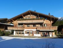 Licht appartement op toplocatie in Gstaad, vlakbij piste en centrum - thumbnail 1