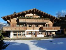 Licht appartement op toplocatie in Gstaad, vlakbij piste en centrum - thumbnail 2