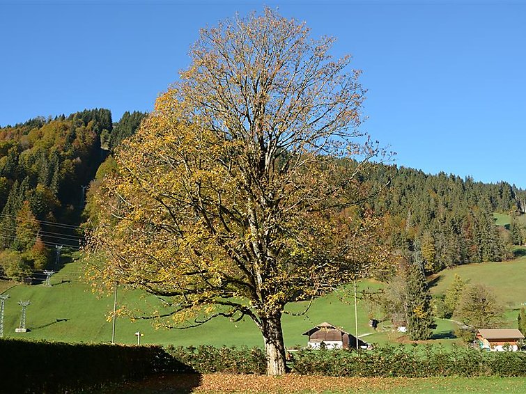 Photo of Oberland Nr. 19