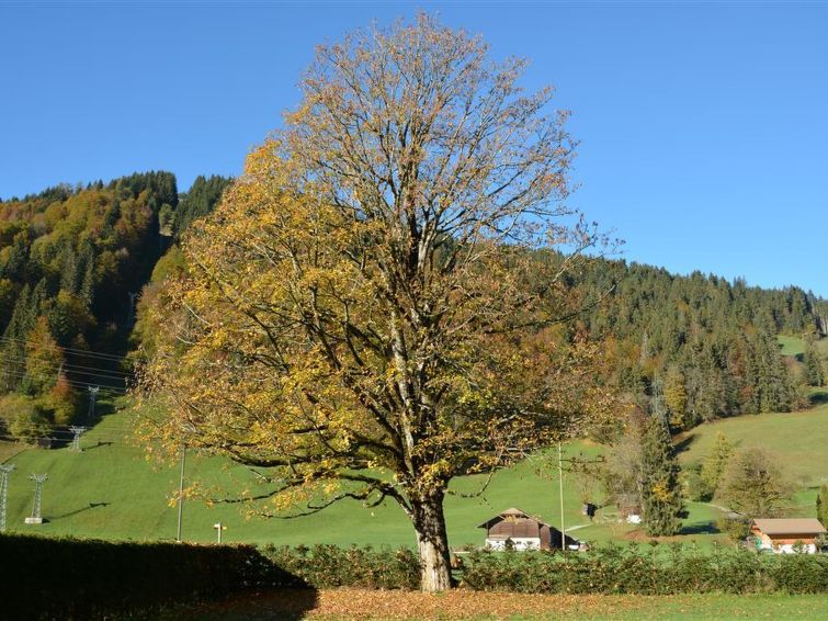 Photo of Oberland Nr. 19