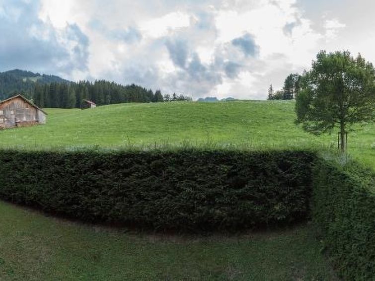 Les Silenes Apartment in Gstaad