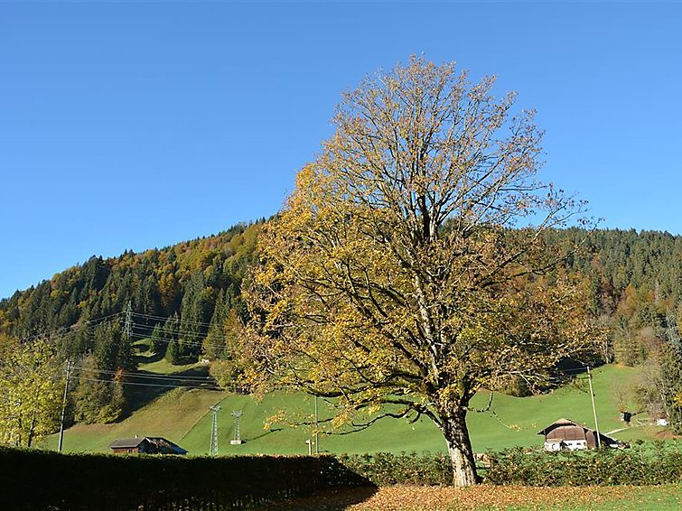 Photo of Oberland Nr. 7