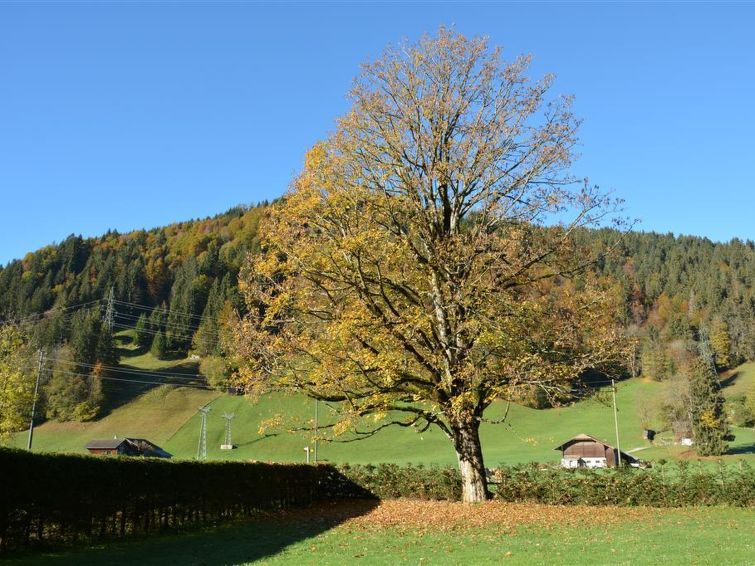 Photo of Oberland Nr. 3