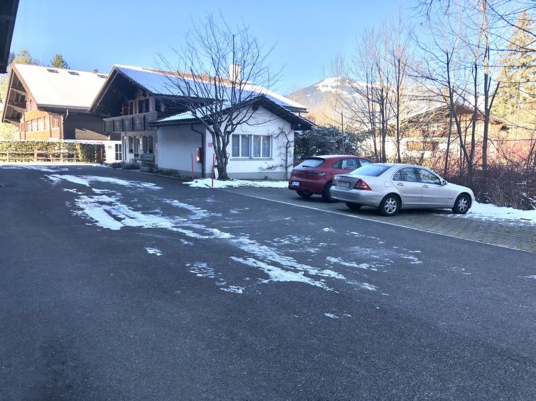 Photo of Oberland Nr. 29