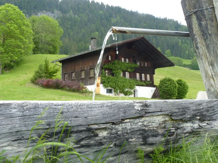 Aerneli, Chalet Chalet in Gstaad