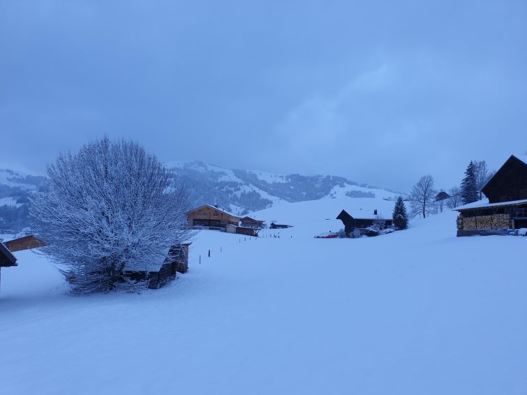 Photo of Aerneli, Chalet