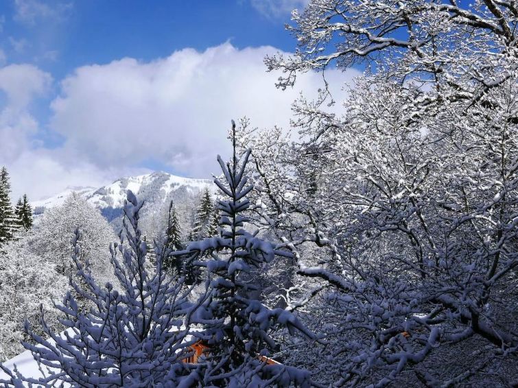 Photo of Tree-Tops, Chalet