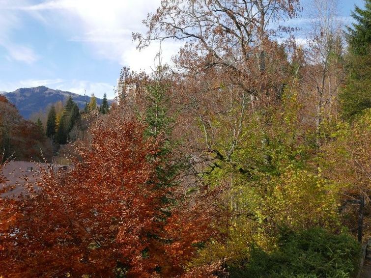 Photo of Tree-Tops, Chalet