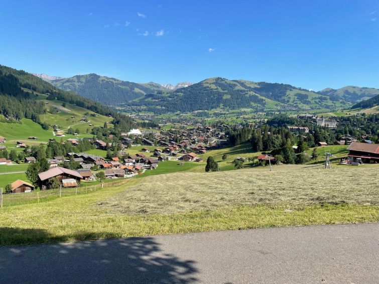 Photo of Alpenchalet Haldeli