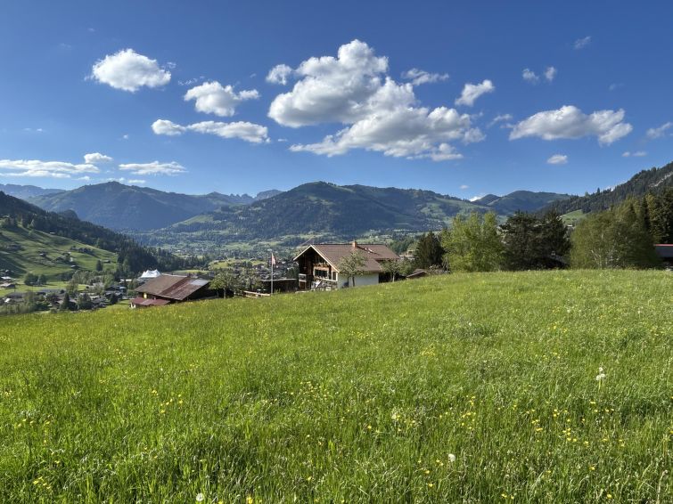 Photo of Alpenchalet Haldeli