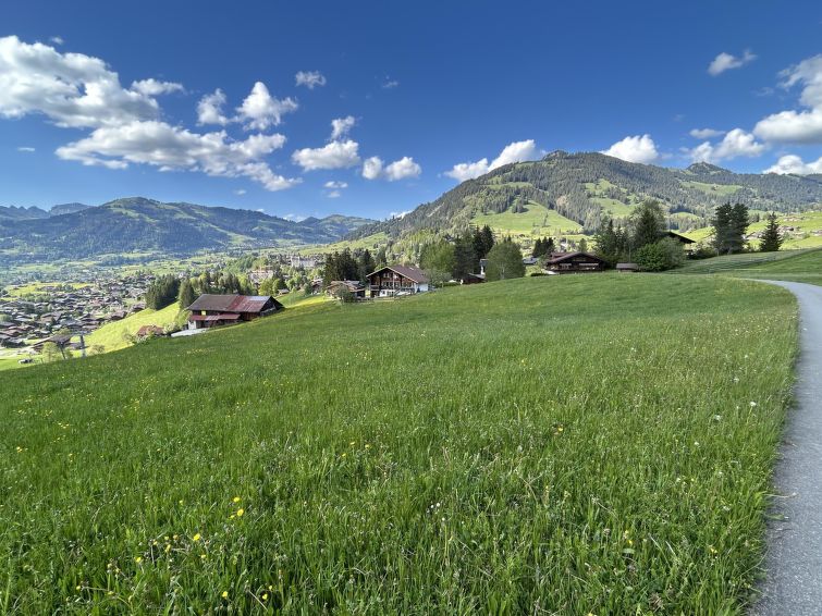 Photo of Alpenchalet Haldeli