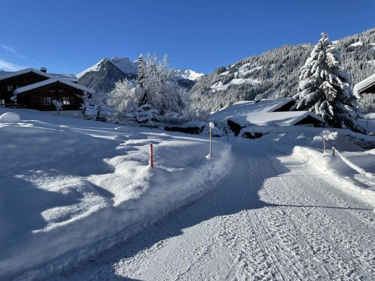 Photo of Alpenchalet Haldeli