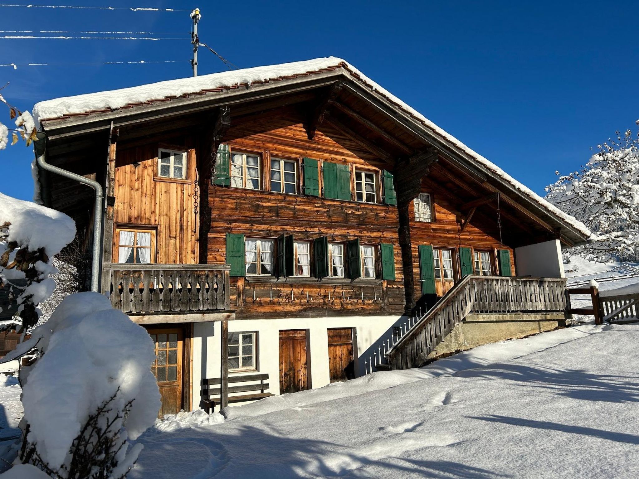 Alpenchalet Haldeli-Binnen