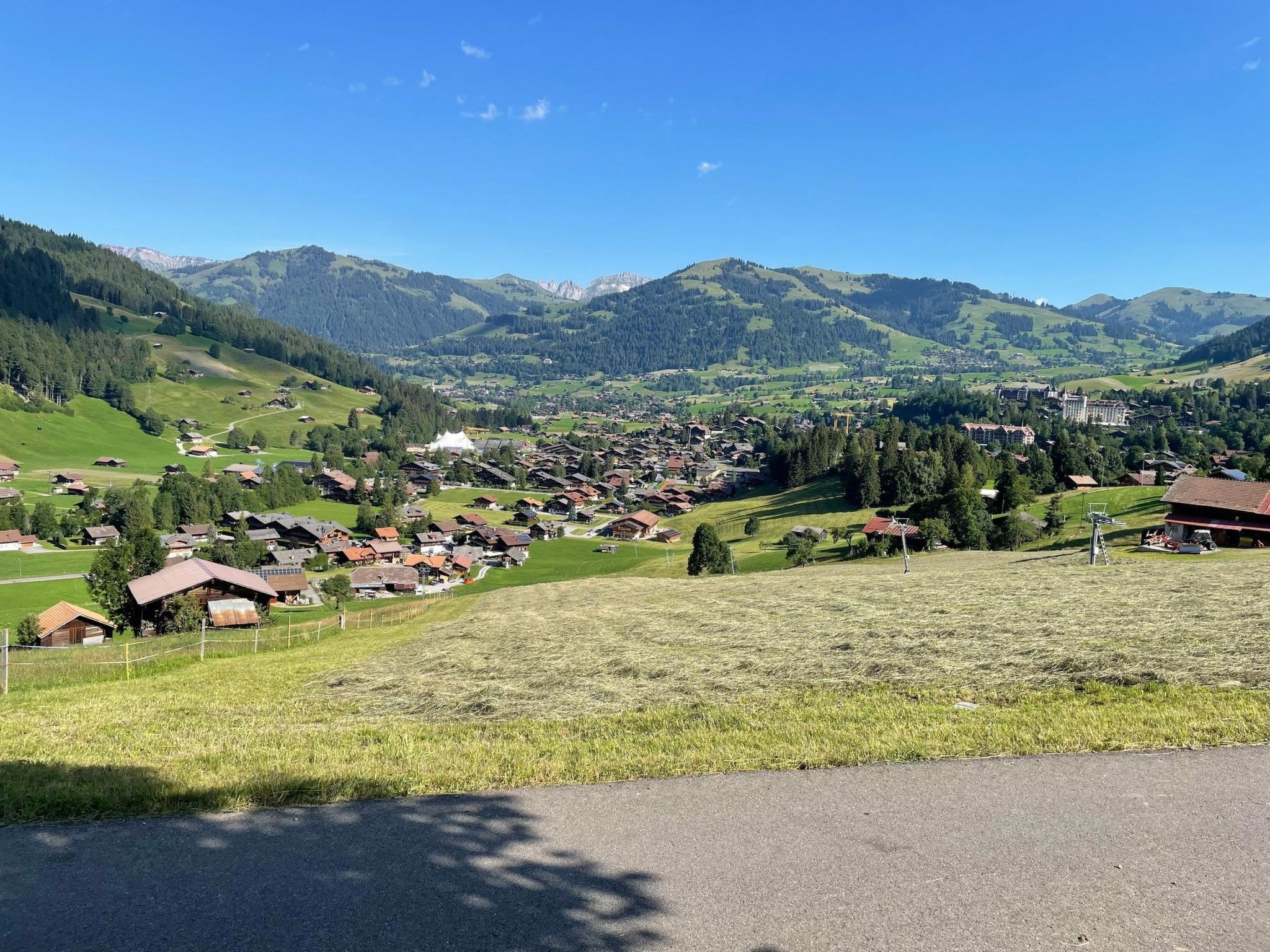 Alpenchalet Haldeli-Binnen