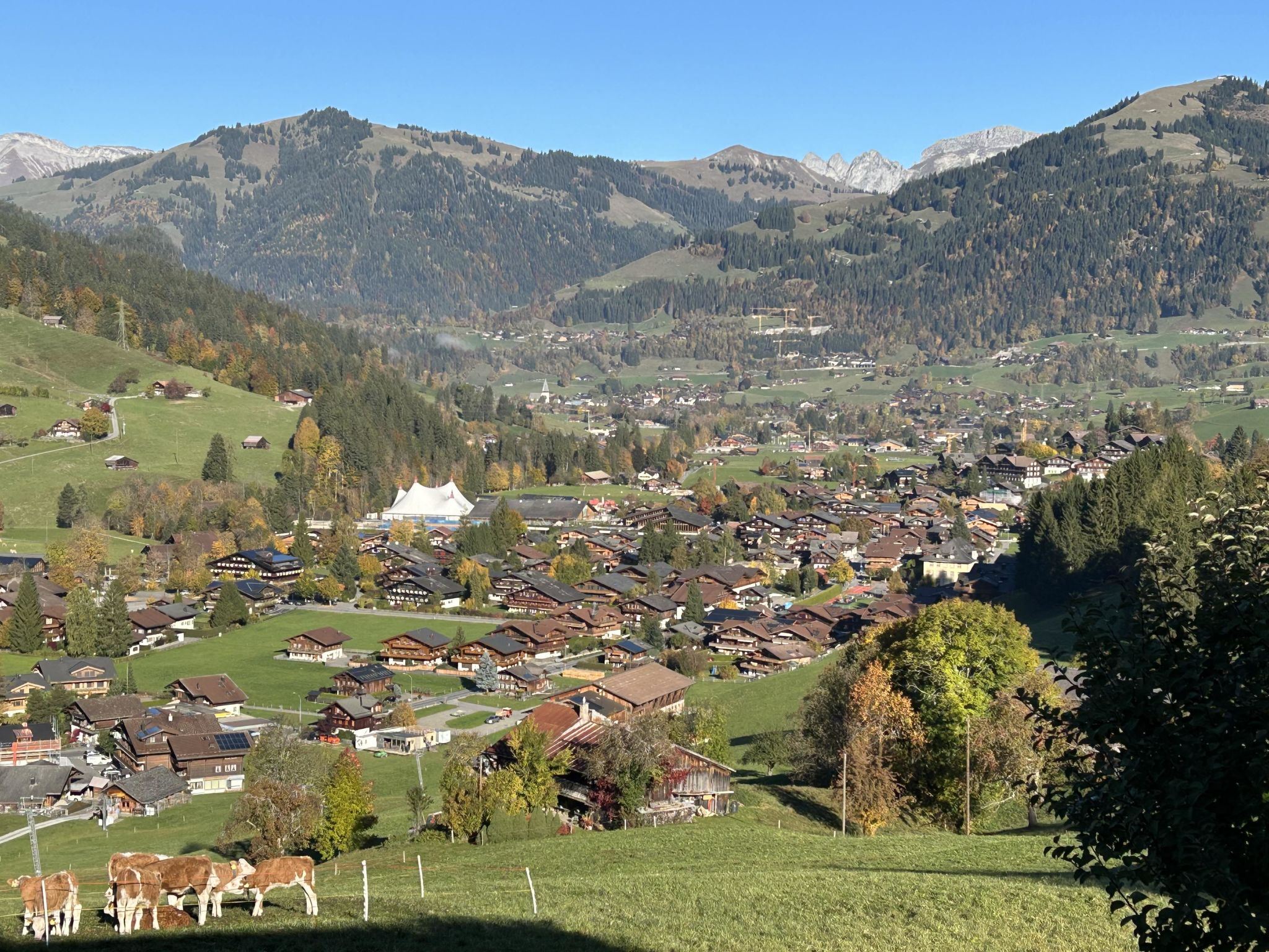 Photo of Alpenchalet Haldeli